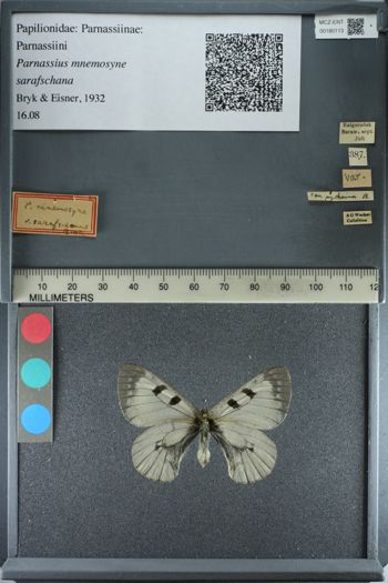 Media type: image;   Entomology 180113